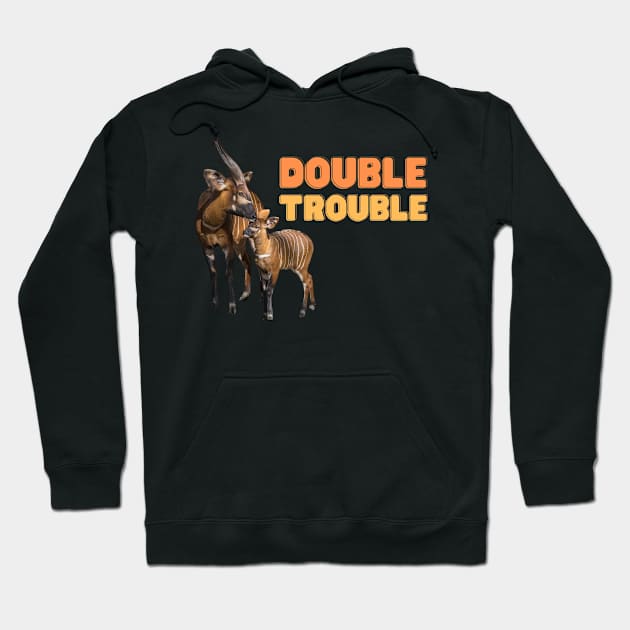 Double Trouble Hoodie by Finn Dixon